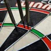 Diana Winmau Pro-Sfb - 2