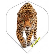 Pluma Ruthless Invincible Standard Tigre - 3