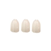 Champagne Ring Shell Lock Blanco Natural - 2