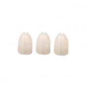 Champagne Ring Shell Lock Blanco Natural