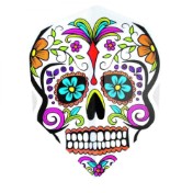 Plumas Harrows Quadro Standard Calavera - 2