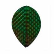 Plumas Iridescent Embossed Oval Verde - 2