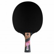 Pala Ping Pong Cornilleau Sport 3000 Excell Carbon - 1