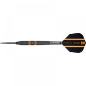  Dardos Target Raymond Van Barneveld 24gr RVB 80 Black  - 3