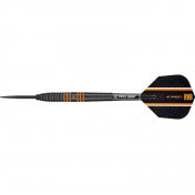  Dardos Target Raymond Van Barneveld 24gr RVB 80 Black  - 1