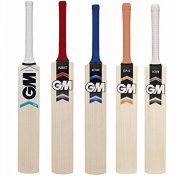 juego-cricket-cricket-ingles-cricket-gm-bates-cricket