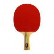 Pala Ping Pong Softee P300 - 1