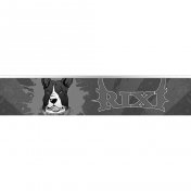 Dardos One80 Rixi Ricardo Fernandez Steel Tip 90% 20g - 3