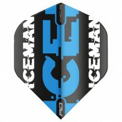  Plumas Flights Red Dragon Hardcore Gerwyn Price Black  Blue Logo 