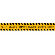 Linea de tiro GilDarts Classic - 2