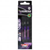  Dardos Bulls Darts Dirk van Duijvenbode Aubergenius Brass Steel 21gr  - 4