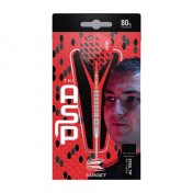  Dardos Dardo Target Nathan Aspinall 80%  24g  - 2