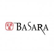 dardos-Basara-dardos-plastico-Basara-dardos-japones-Basara-darts-darts-japan-Basara-comprar-dardos-Basara