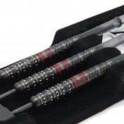  Dardos Dynasty Darts A-Flow Steel Boris Krcmar 2 95% 20gr  - 7