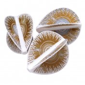 Plumas Fit Flight Pro Series D-5 Kota Suzuki Blanco - 3