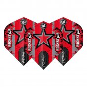 Plumas Winmau Darts Prism Zeta Joe Cullen Star Flight - 3