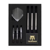 Dardos Trinidad Darts Vasquez Hiroyasu Ito 20.5g 90%  - 5