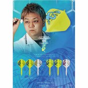 Plumas Condor Axe Standard Shote Sosogi Musical Mix L 33.5mm 3 Uds. - 6