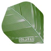 Plumas Loxley Darts Feather Verde Estandar no2 - 3