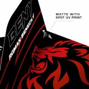 Plumas Mission Darts No2 Std Roman Benecky - 3