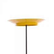 Set de plato chino amarillo 24cm - 1