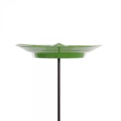 Set de plato chino verde 24cm - 1