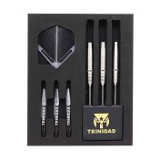 Dardos Trinidad Darts Gonzalez Type 4 P. Metal 90% 20g - 5
