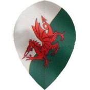 Plumas Unicorn Darts Pear Maestro Wales - 1