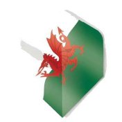 Plumas Unicorn Darts Standard Maestro Bandera Irlanda - 1