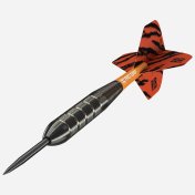 Dardos Target Raymond Van Barneveld RVB Brass 22gr - 2