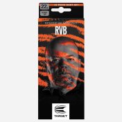 Dardos Target Raymond Van Barneveld RVB Brass 22gr - 3