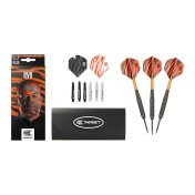 Dardos Target Raymond Van Barneveld RVB Brass 22gr - 4
