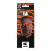 Dardos Target Raymond Van Barneveld RVB Brass 18gr - 4