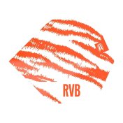 Plumas Target RVB Brass Raymond van Barneveld Pro.Ultra No.2 Standard Blanco - 3