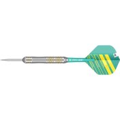 Dardos Target Darts Rob Cross Brass 22g