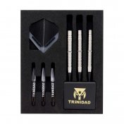 Dardos Trinidad Darts Eikichi Nakanishi Saldivar Tipe 2 Soft tip 21gr 90% - 4