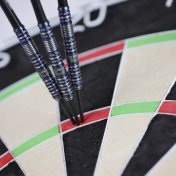 Dardos Bulls Darts Silvian 90% 25gr  - 3