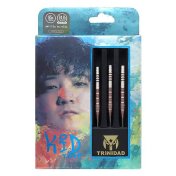 Dardos Trinidad Darts Kid Type 2 Tomoya Goto 95% 24g - 5