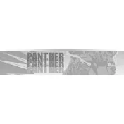 Dardos One80 Panther N 80% 20g - 3