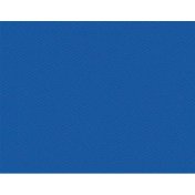Paño Carambola Profesional Buffalo Royal Plus 3m 170cm Azul Océano - 2