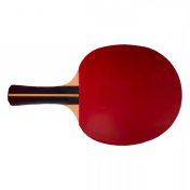 Raqueta Tenis Mesa Softee P200 - 3