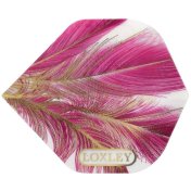 Plumas Loxley Feather Purple Oro No2 Standard - 2