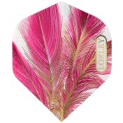 Plumas Loxley Feather Purple Oro No2 Standard - 1