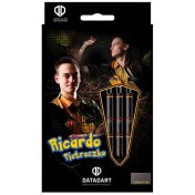 Dardos Datadart Ricardo Pietreczko 90% 21g - 4