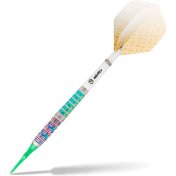 Dardos Caliburn Player Darts Raine 95% 19gr - 2