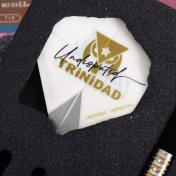 Dardos Trinidad Undisputed KID3 Steel Tomoya Goto 95% 24g - 4