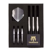 Dardos Trinidad Darts Carlos Type3 Yoshinobu Takemoto 19gr 90%  - 5