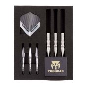 Dardos Trinidad Darts Carlos Type3 Yoshinobu Takemoto 21gr 90%  - 5