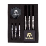Dardos Trinidad Darts Gonzalez Type6 Teppei Nishi 23gr 90%  - 5