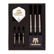 Dardos Trinidad Darts Undisputed KID Type3 Tomoya Goto 21gr 90%  - 5
